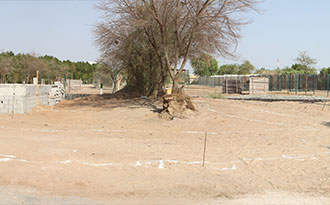 bird exhibit